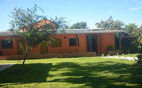 Amanduarte Brasília